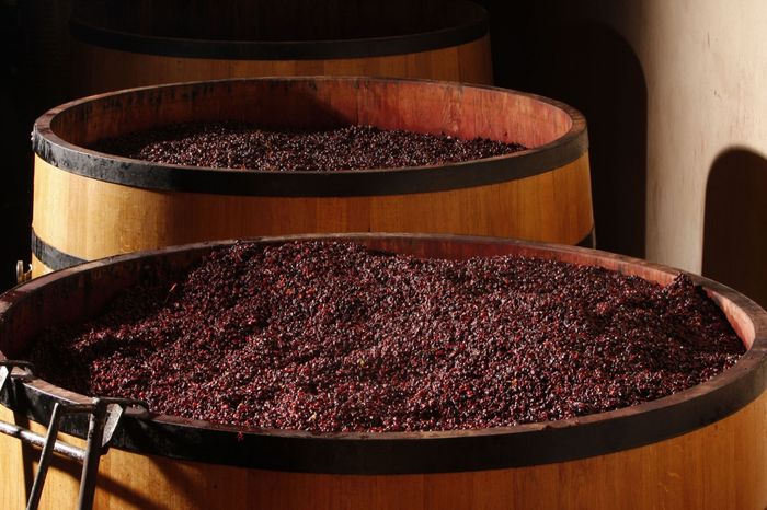 Bouchard Aîné & Fils