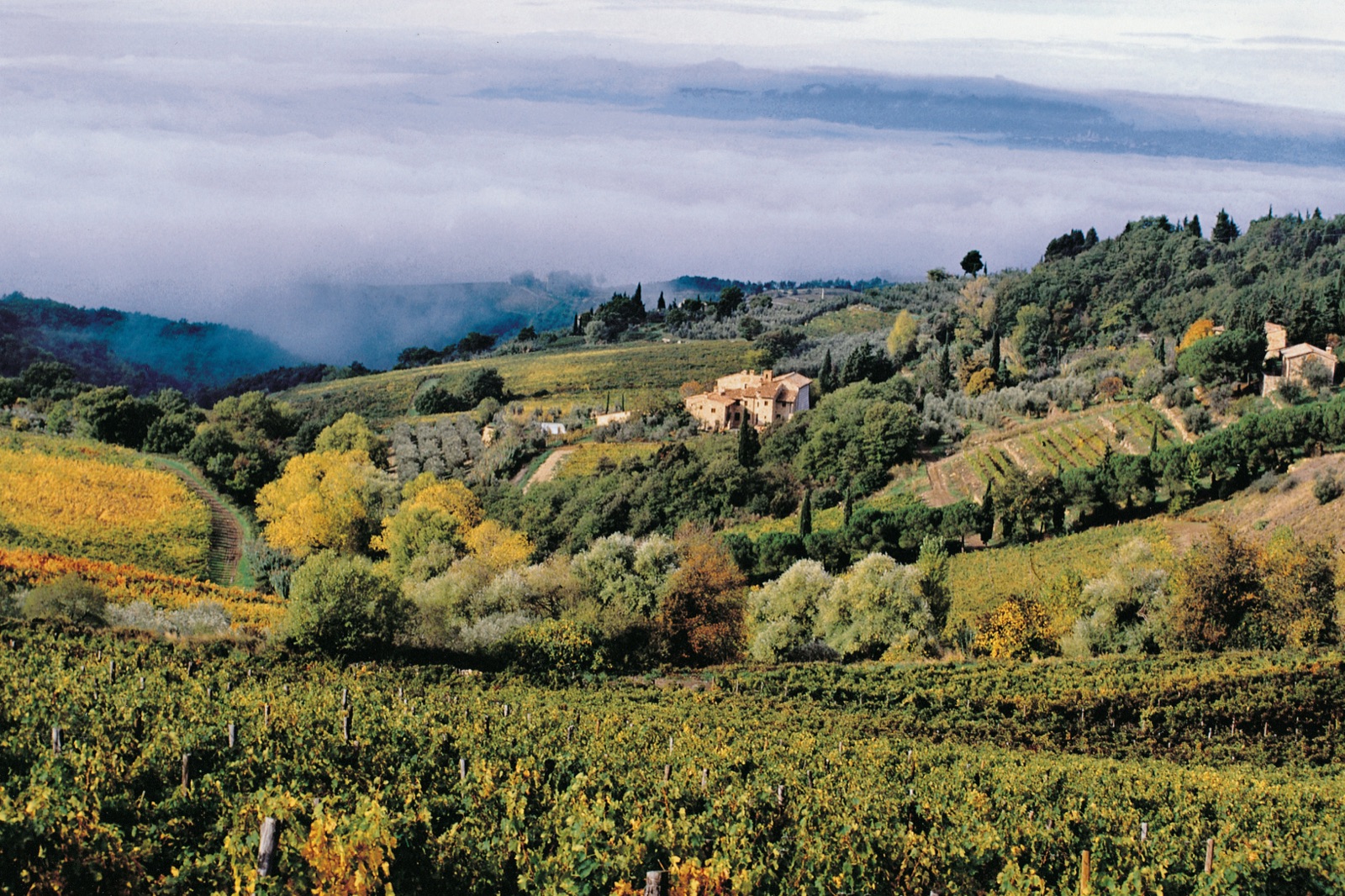 Castellare di Castellina