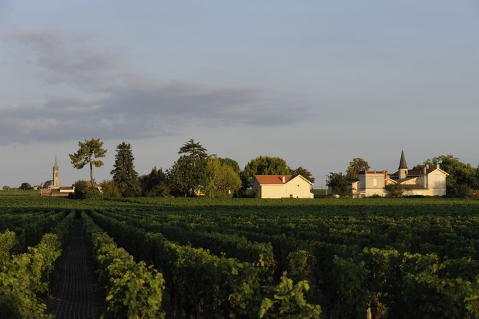 Château Latour à Pomerol