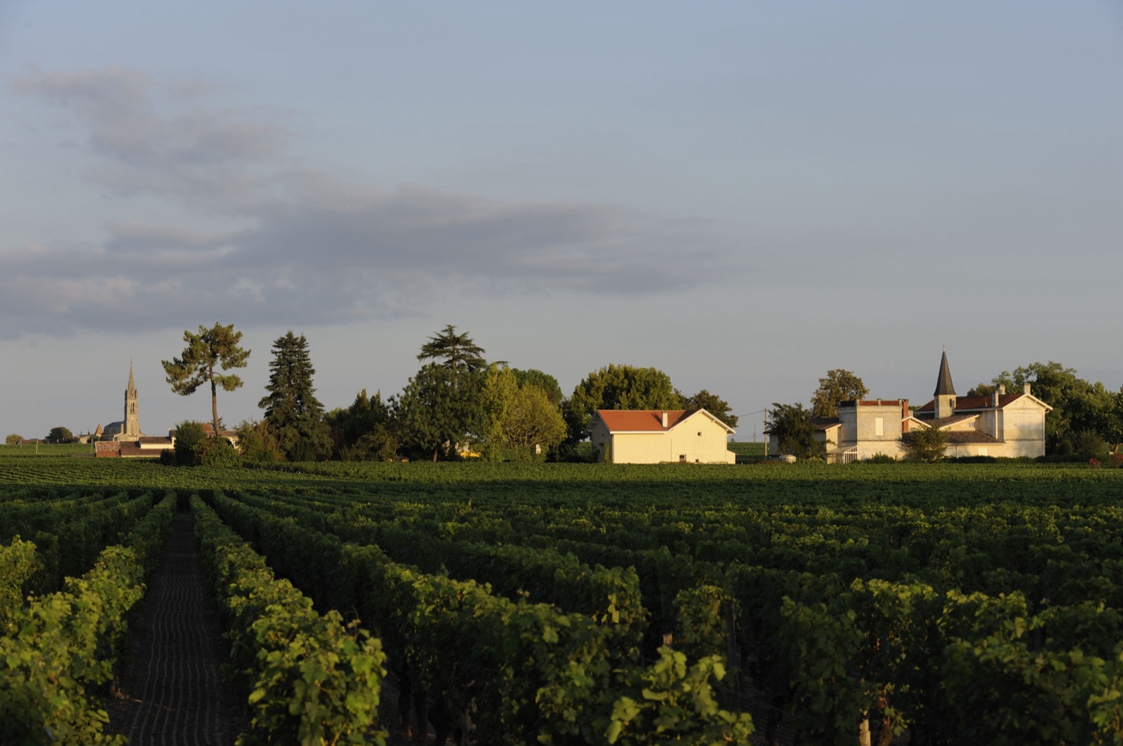 Château Latour à Pomerol