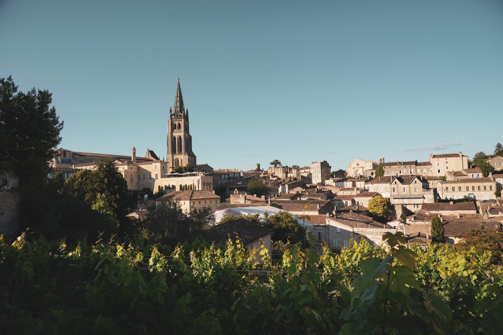 Domaines Barons de Rothschild Lafite
