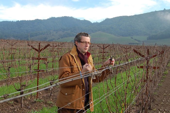 Dominus Estate