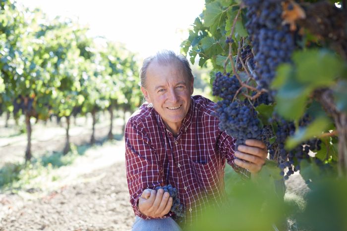 Goldschmidt Vineyards