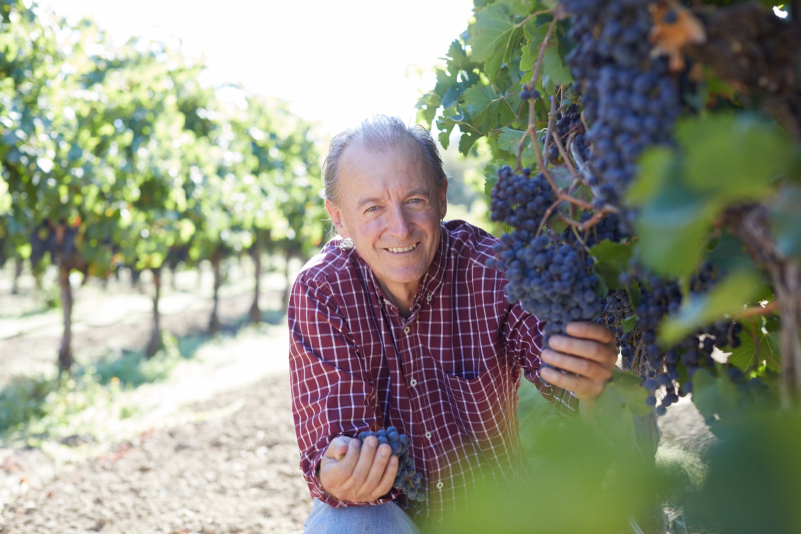 Goldschmidt Vineyards