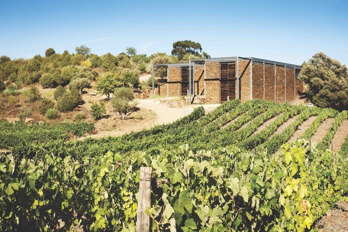 J. Rosas | Quinta da Touriga