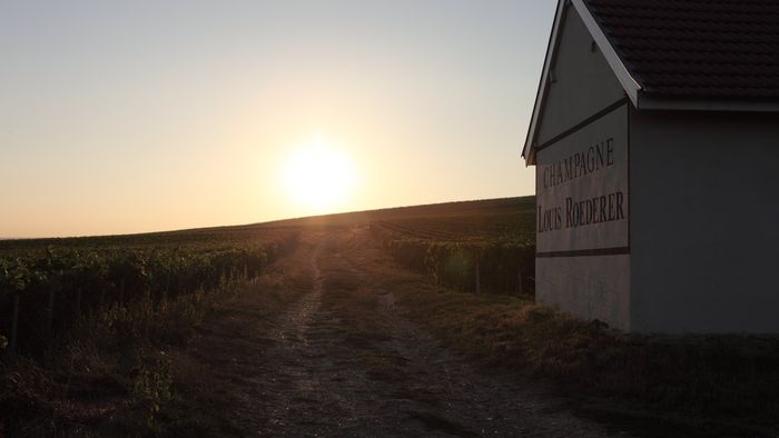 Louis Roederer