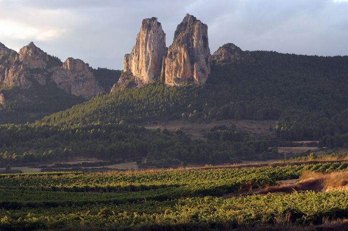 Vinhedo · Espanha