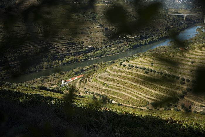 Quinta de Valbom