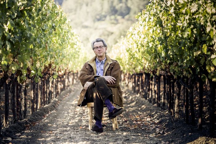 Ulysses Vineyard