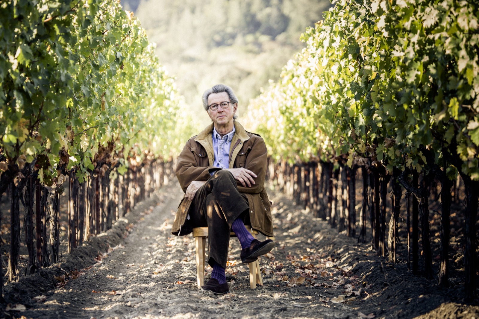 Ulysses Vineyard
