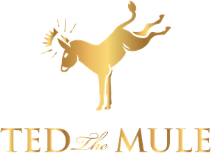 Ted the Mule