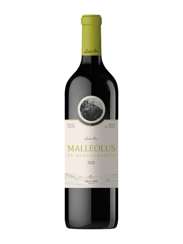 Malleolus De Sanchomartín