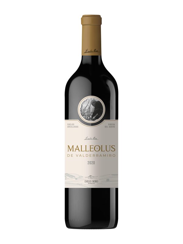 Malleolus De Valderramiro