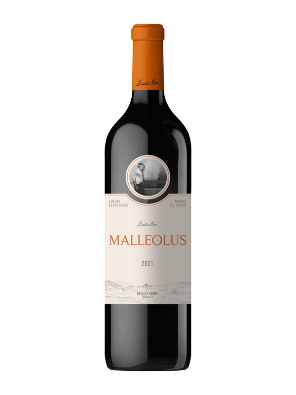 Malleolus